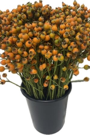 FRUTTUOSA ORANGE