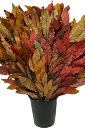 CHESTNUT STABILIZED AUTUMN